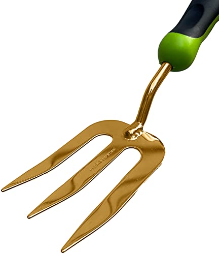 Titanium Fork
