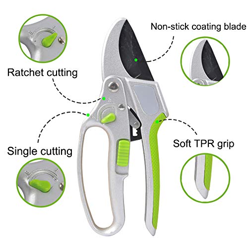 2 in 1 Ratchet Clippers