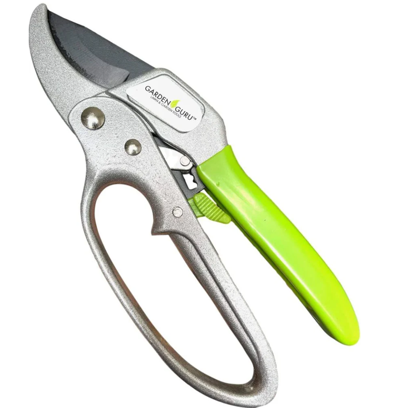 Ratchet Clippers