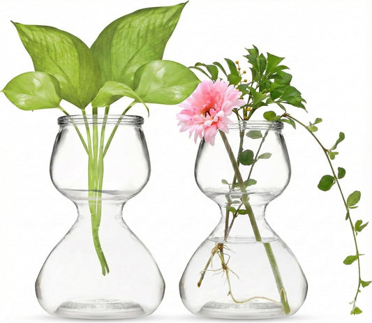 Plant Propagation Stations - Clear Glass Bud Vases (Set of 2)
