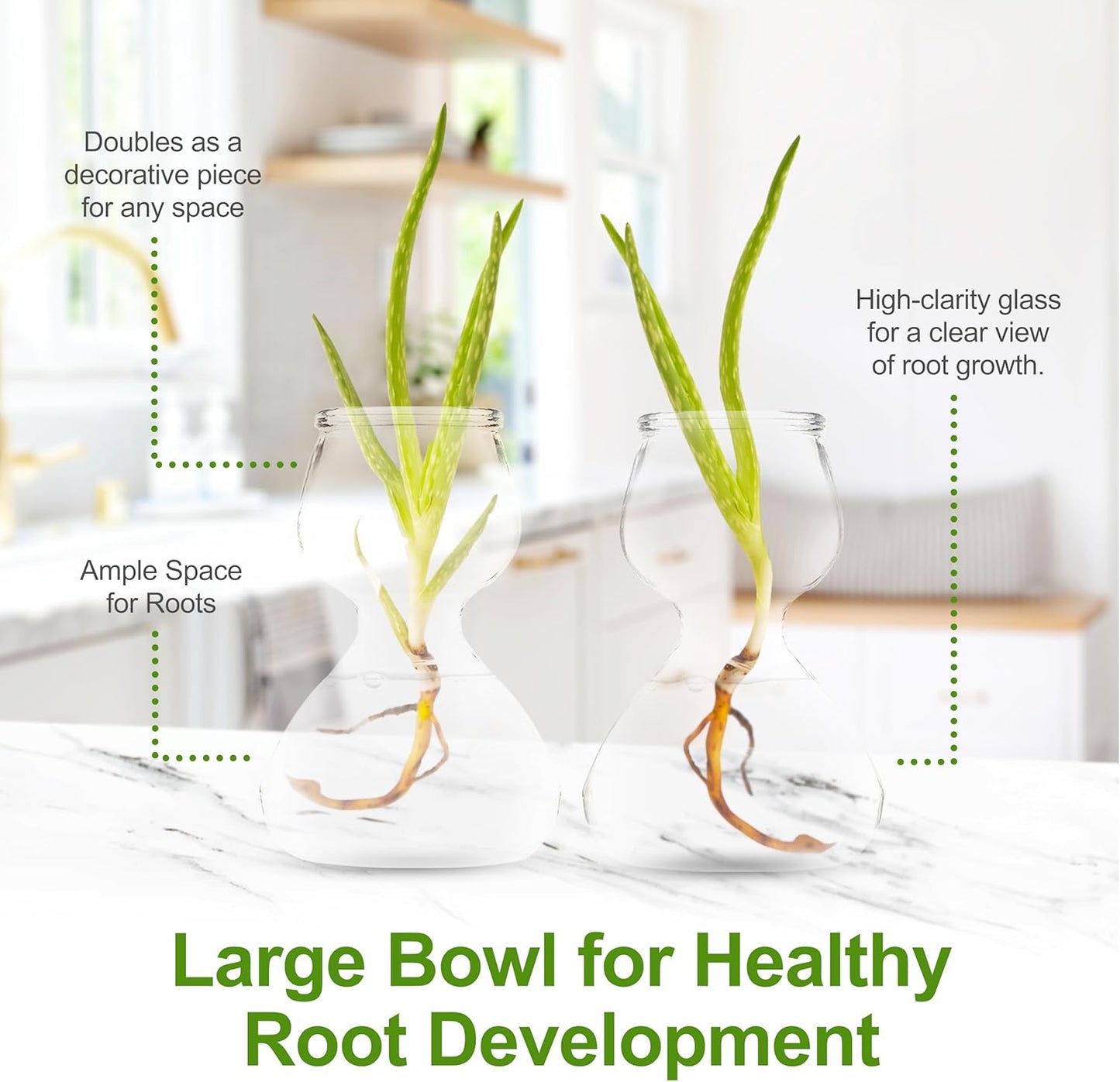 Clear Glass Bud Vases - Propagation Stations (Set of 4)