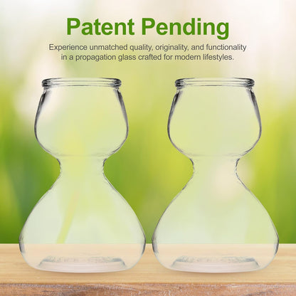 Clear Glass Bud Vases - Propagation Stations (Set of 8)