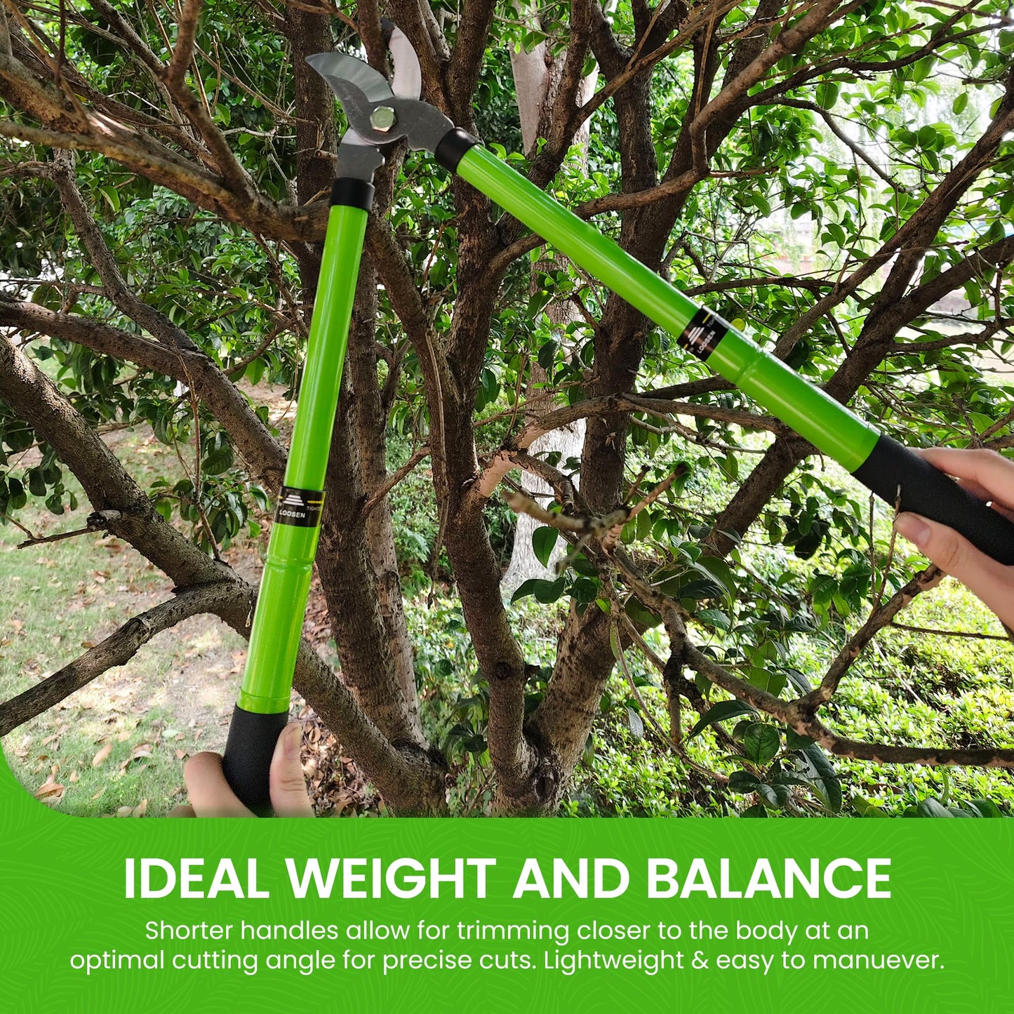 Telescoping Bypass Loppers Tree Trimmer Clipper