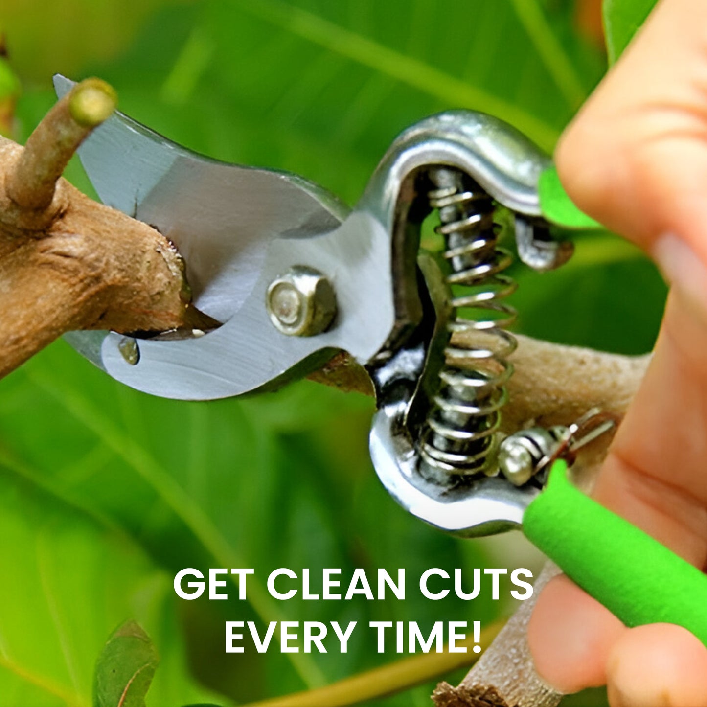 GARDEN GURU Classic Bypass Pruning Shears Clippers & Garden Tool Blade Sharpener