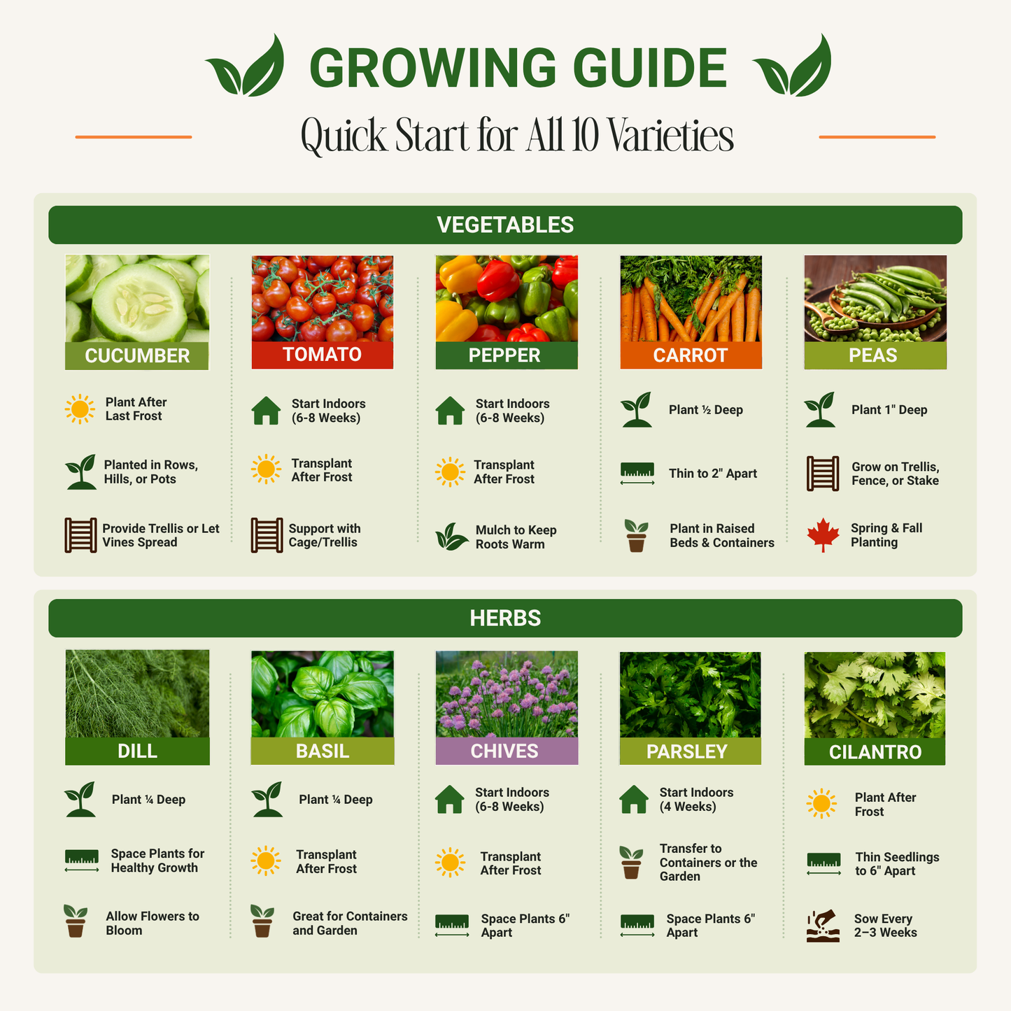 Garden Guru Vegetable & Herb Seed Set - Non-GMO Heirloom