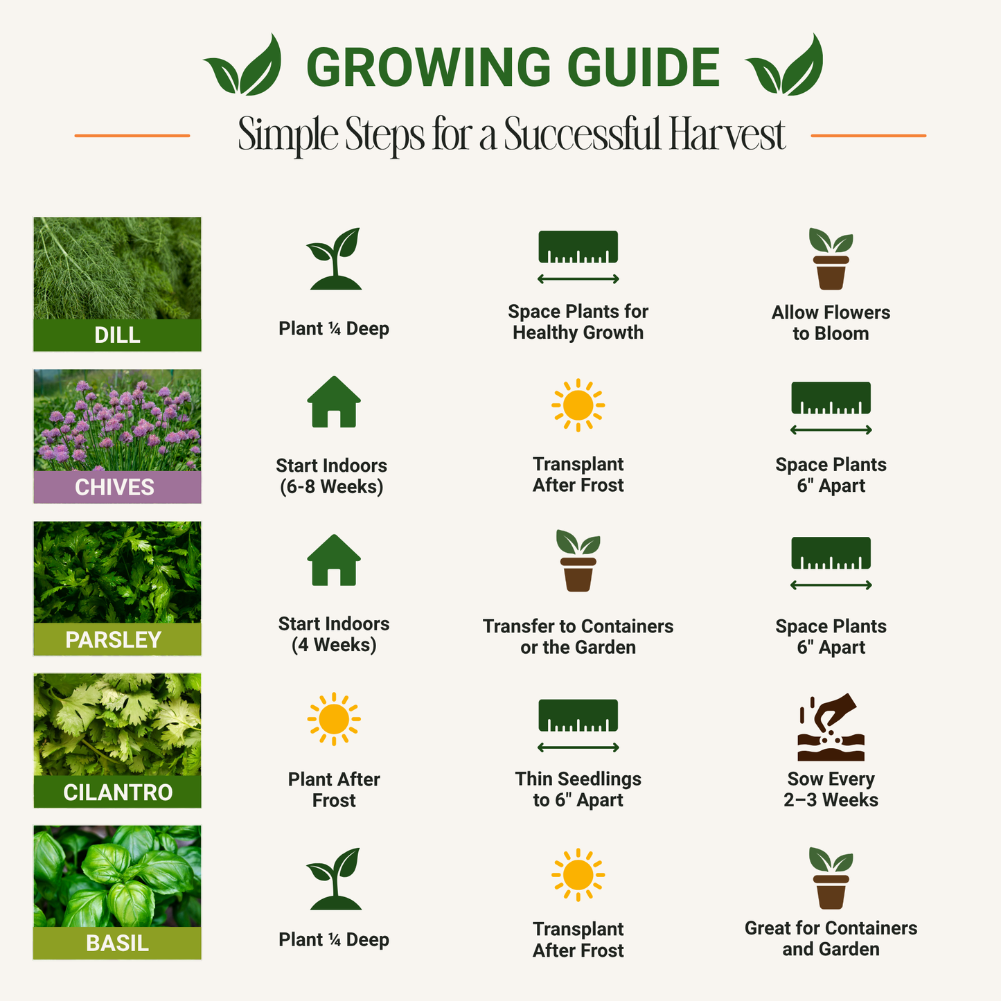 Garden Guru Herb Seed Set - Non-GMO