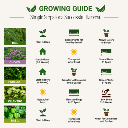 Garden Guru Herb Seed Set - Non-GMO