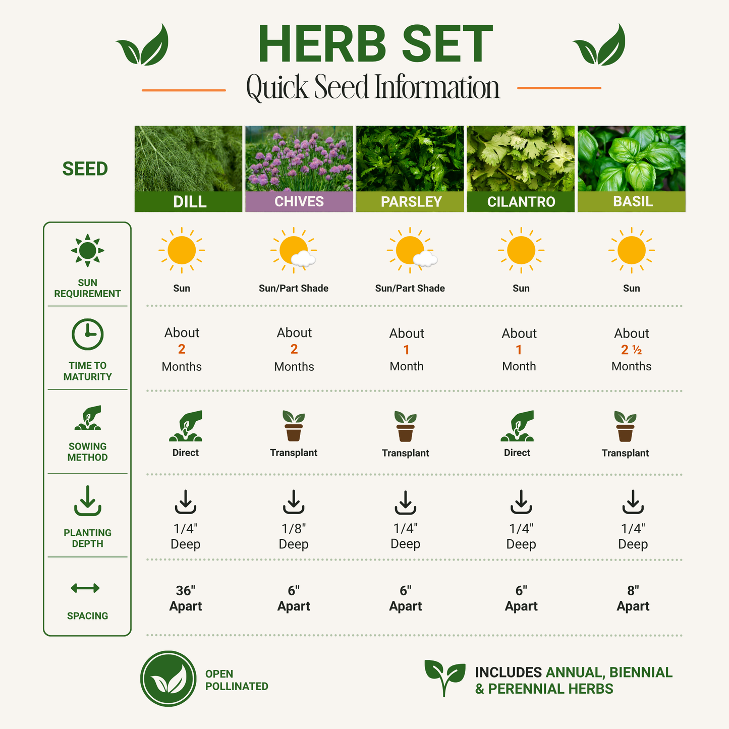 Garden Guru Herb Seed Set - Non-GMO
