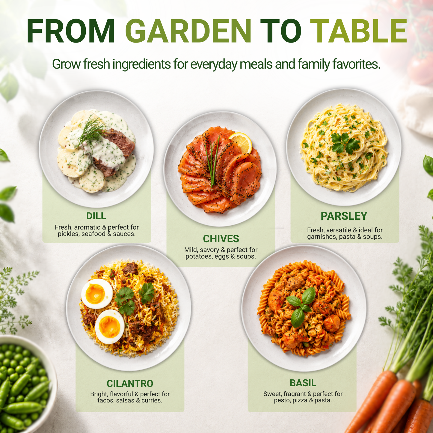 Garden Guru Herb Seed Set - Non-GMO