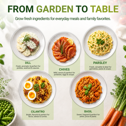 Garden Guru Herb Seed Set - Non-GMO