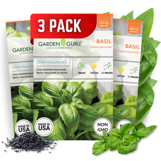 Garden Guru Genovese Sweet Basil Seeds 3-Pack - Non-GMO