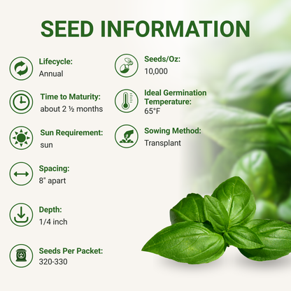 Garden Guru Genovese Sweet Basil Seeds 3-Pack - Non-GMO