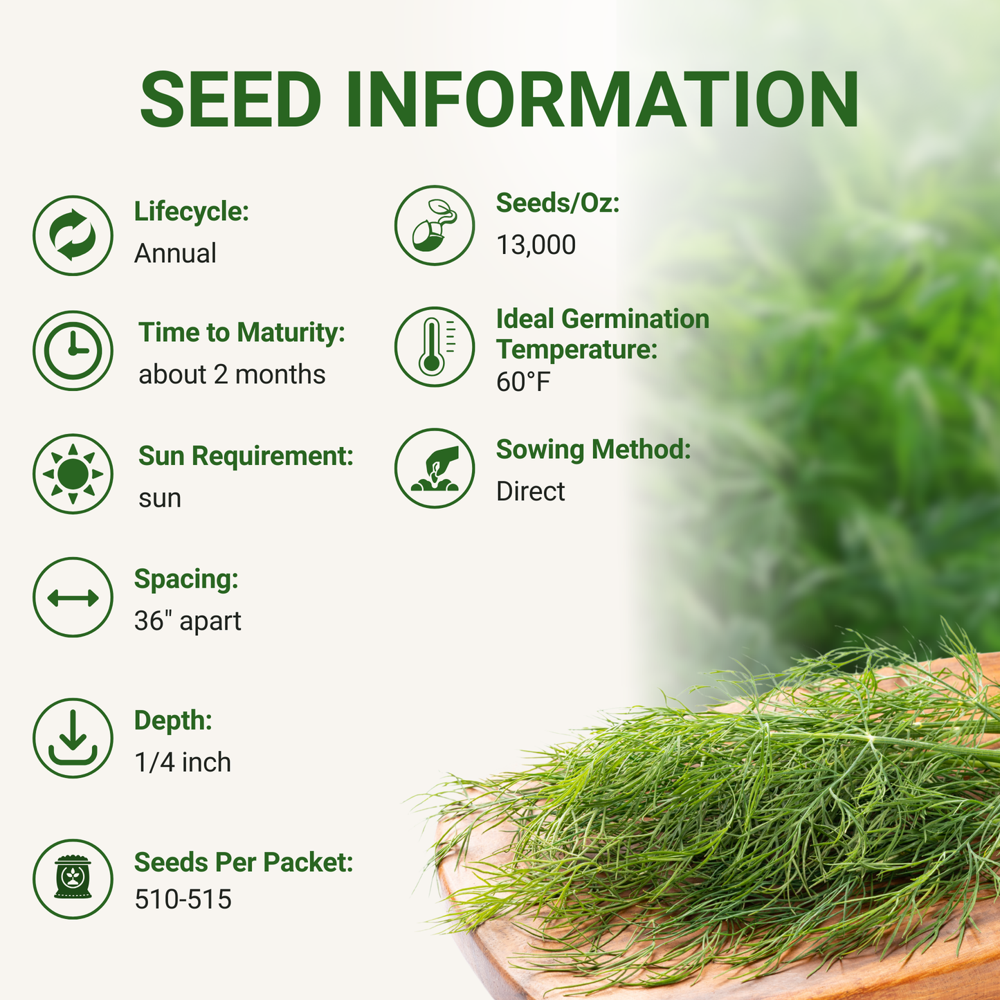 Garden Guru Long Island Mammoth Dill Seeds 3-Pack - Non-GMO