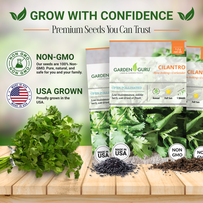Garden Guru Slow Bolt Cilantro Seeds 3-Pack - Non-GMO
