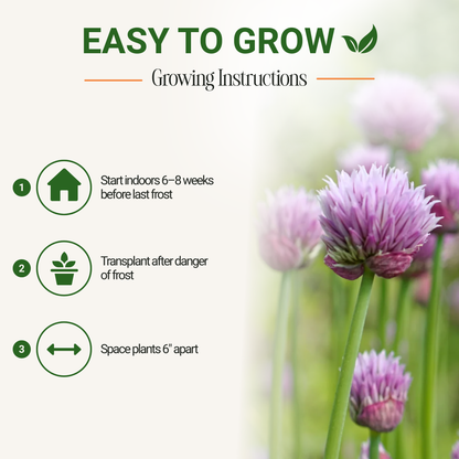 Garden Guru Purple Chive Seeds 3-Pack - Non-GMO