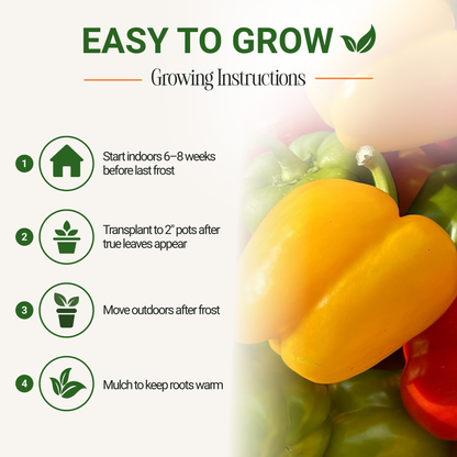 Garden Guru California Wonder Bell Pepper Seeds 3-Pack - Non-GMO
