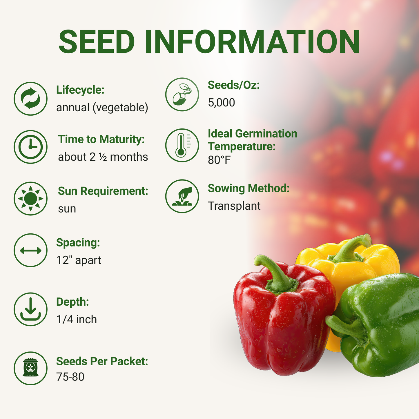 Garden Guru California Wonder Bell Pepper Seeds 3-Pack - Non-GMO