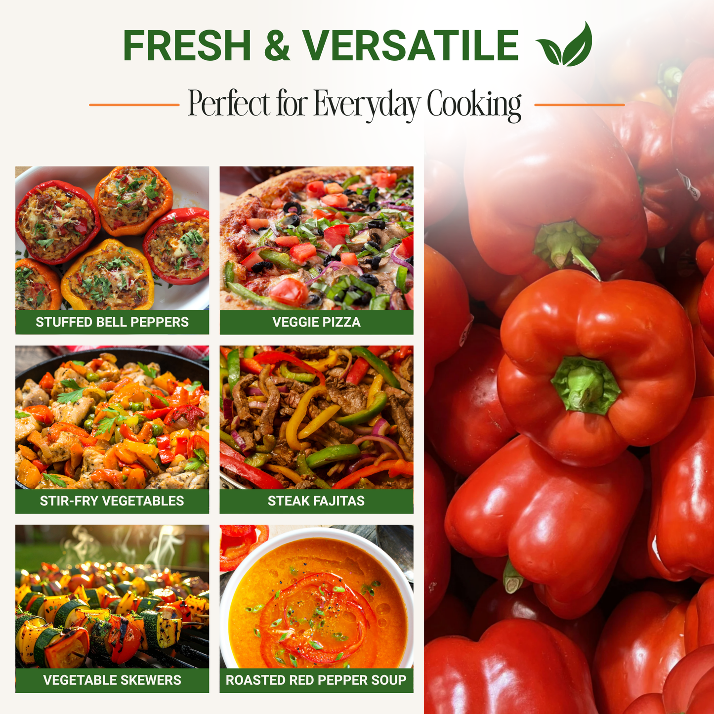 Garden Guru California Wonder Bell Pepper Seeds 3-Pack - Non-GMO