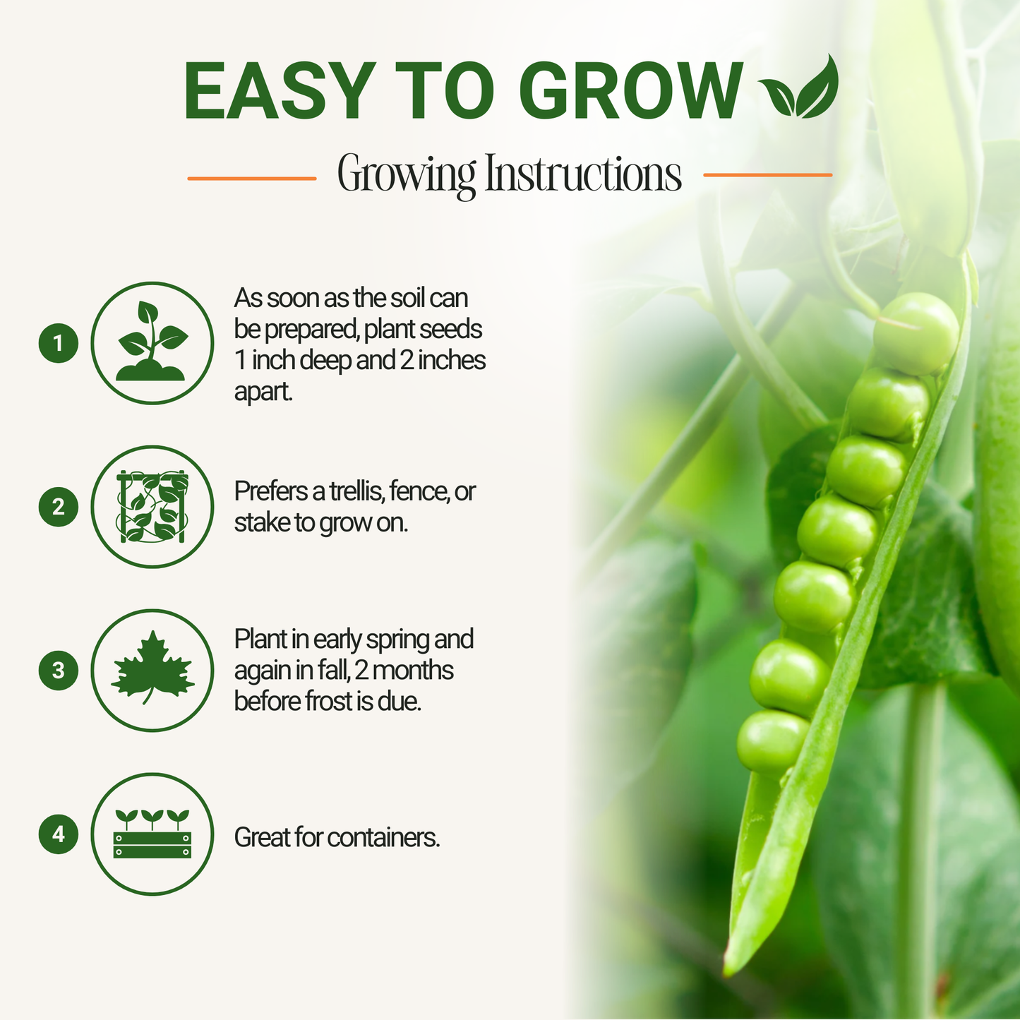 Garden Guru Sugar Snap Pea Seeds 3-Pack - Non-GMO