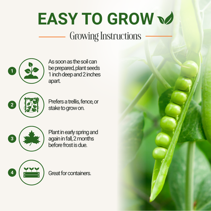 Garden Guru Sugar Snap Pea Seeds 3-Pack - Non-GMO