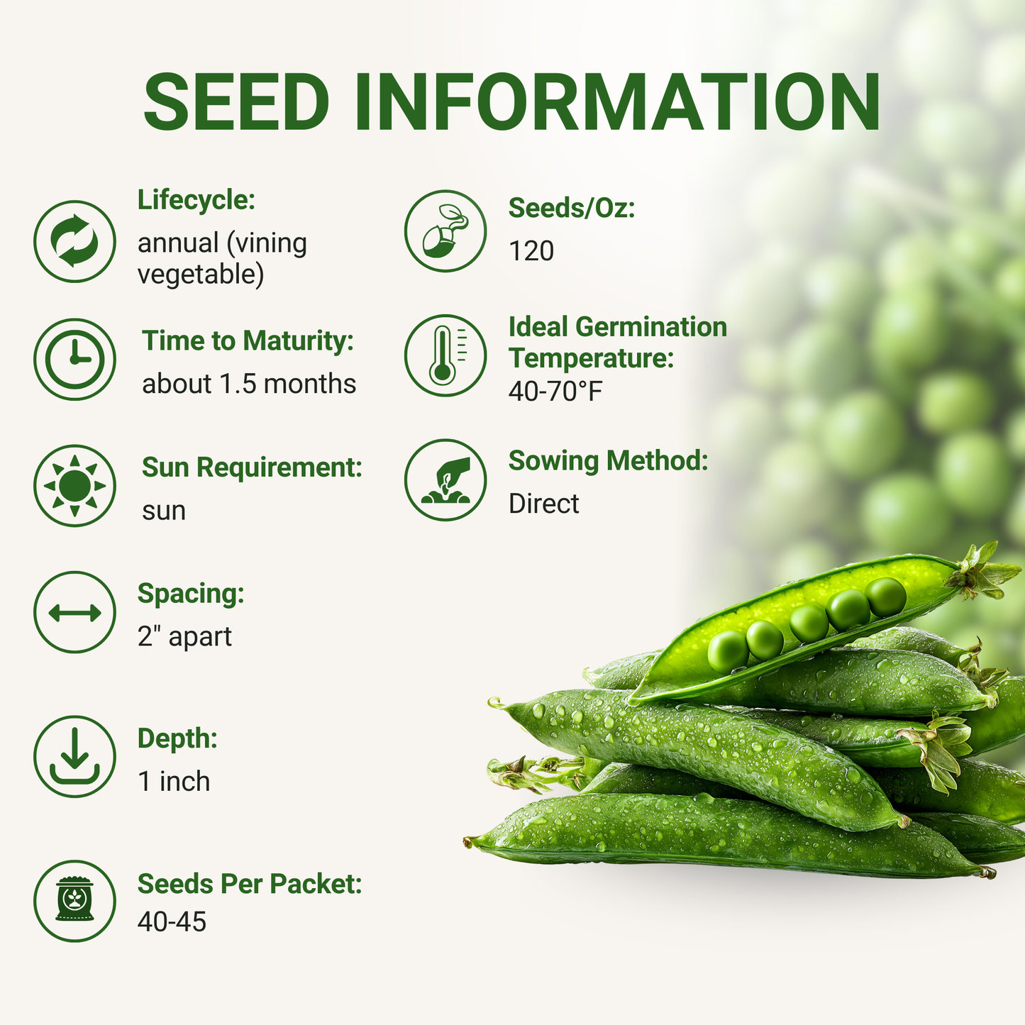 Garden Guru Sugar Snap Pea Seeds 3-Pack - Non-GMO