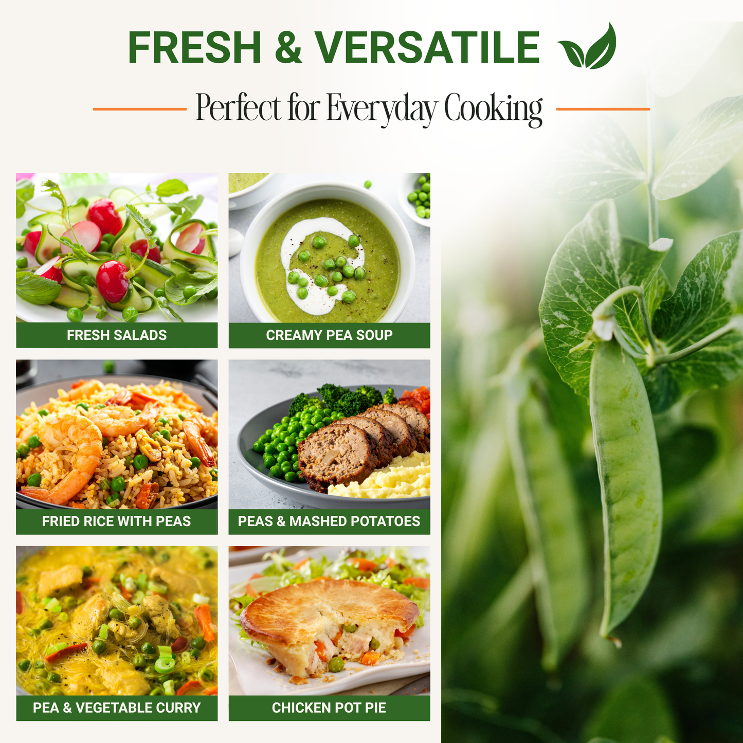 Garden Guru Sugar Snap Pea Seeds 3-Pack - Non-GMO