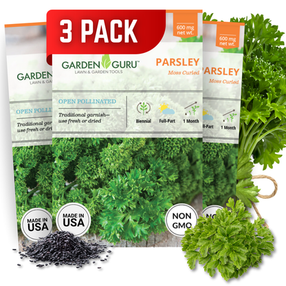 Garden Guru Moss Curled Parsley Seeds 3-Pack - Non-GMO