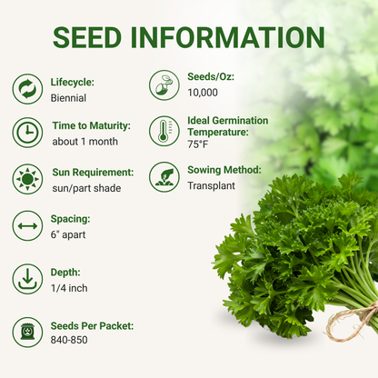 Garden Guru Moss Curled Parsley Seeds 3-Pack - Non-GMO