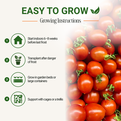 Garden Guru Sweetie Cherry Tomato Seeds 3-Pack - Non-GMO