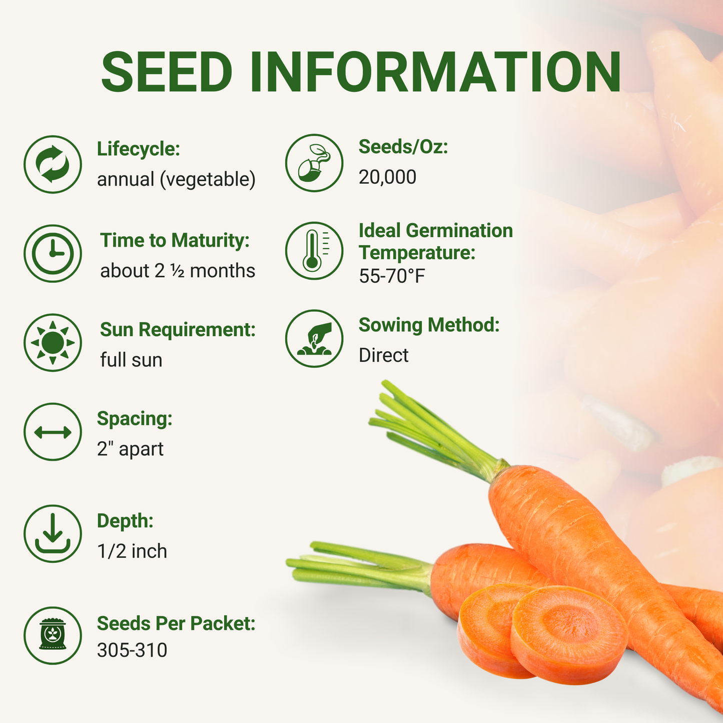 Garden Guru Nantes Carrot Seeds 3-Pack - Non-GMO