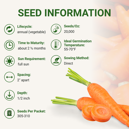 Garden Guru Nantes Carrot Seeds 3-Pack - Non-GMO