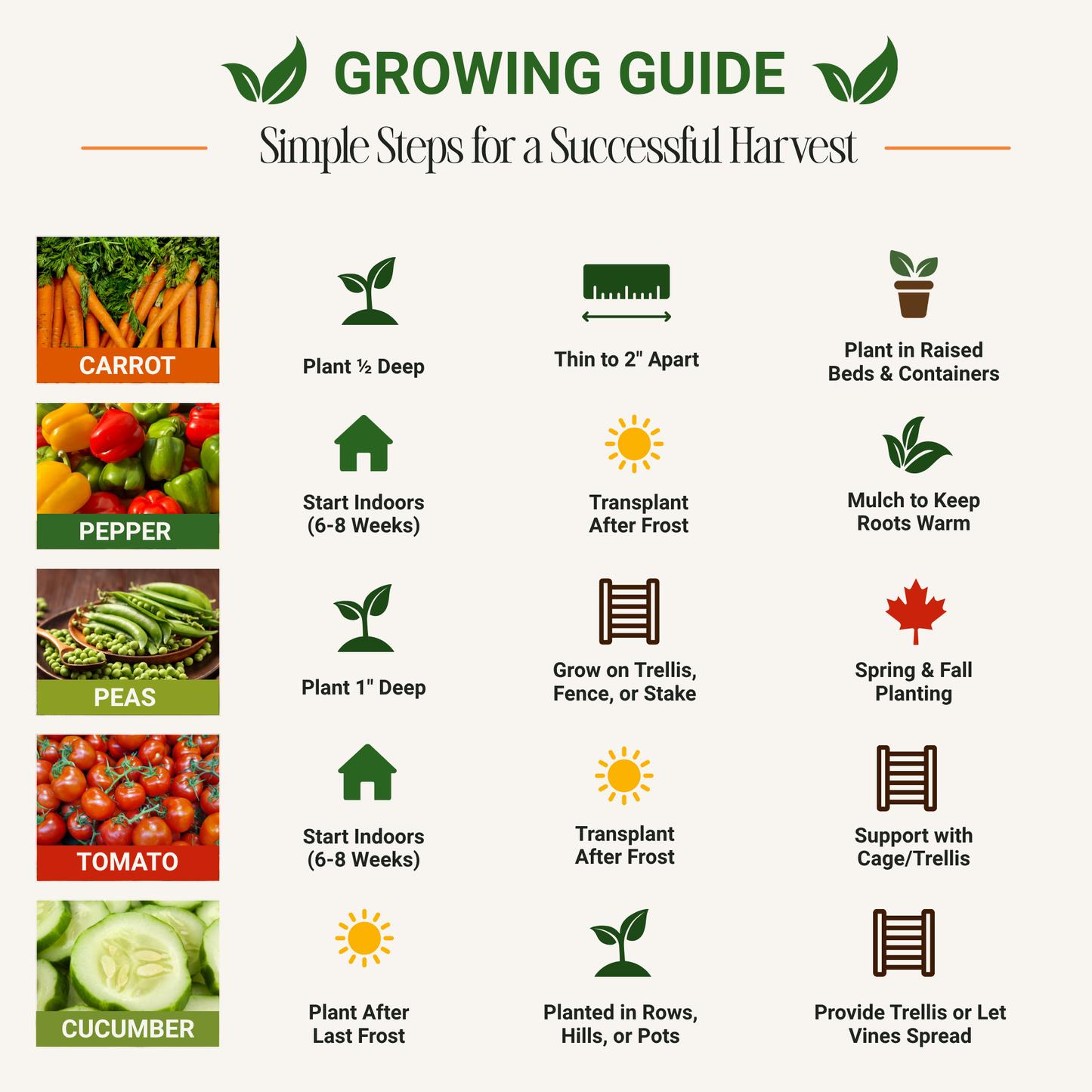 Garden Guru Vegetable Seed Set - Non-GMO Heirloom