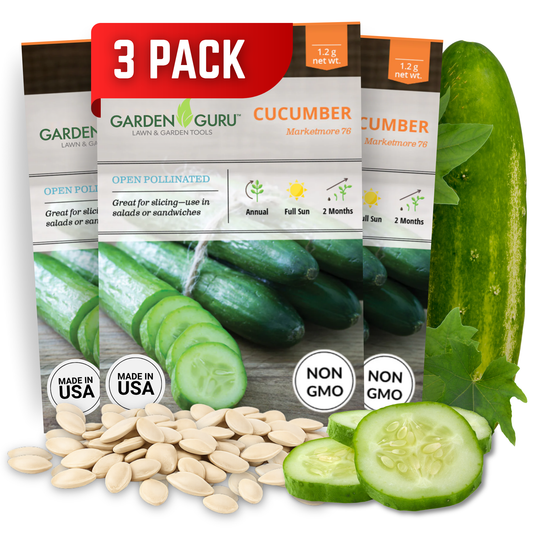 Garden Guru Marketmore 76 Cucumber Seeds 3-Pack - Non-GMO