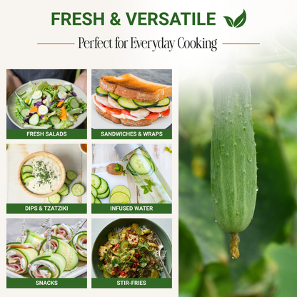 Garden Guru Marketmore 76 Cucumber Seeds 3-Pack - Non-GMO