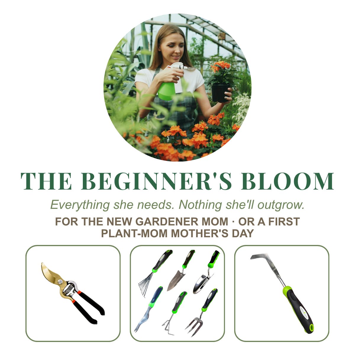 The Beginner's Bloom