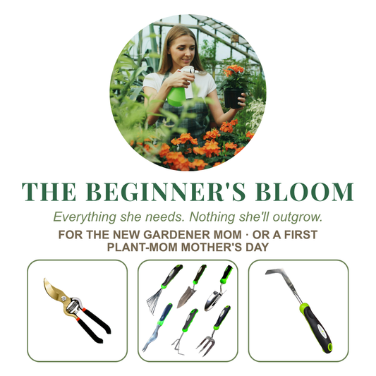 The Beginner's Bloom