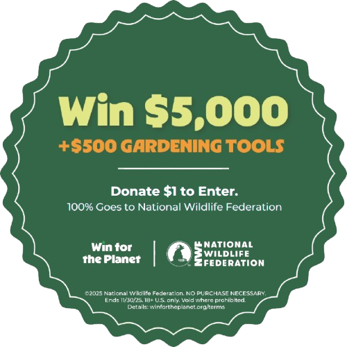 $1 DONATION + 1 ENTRY TO  WIN $5,000